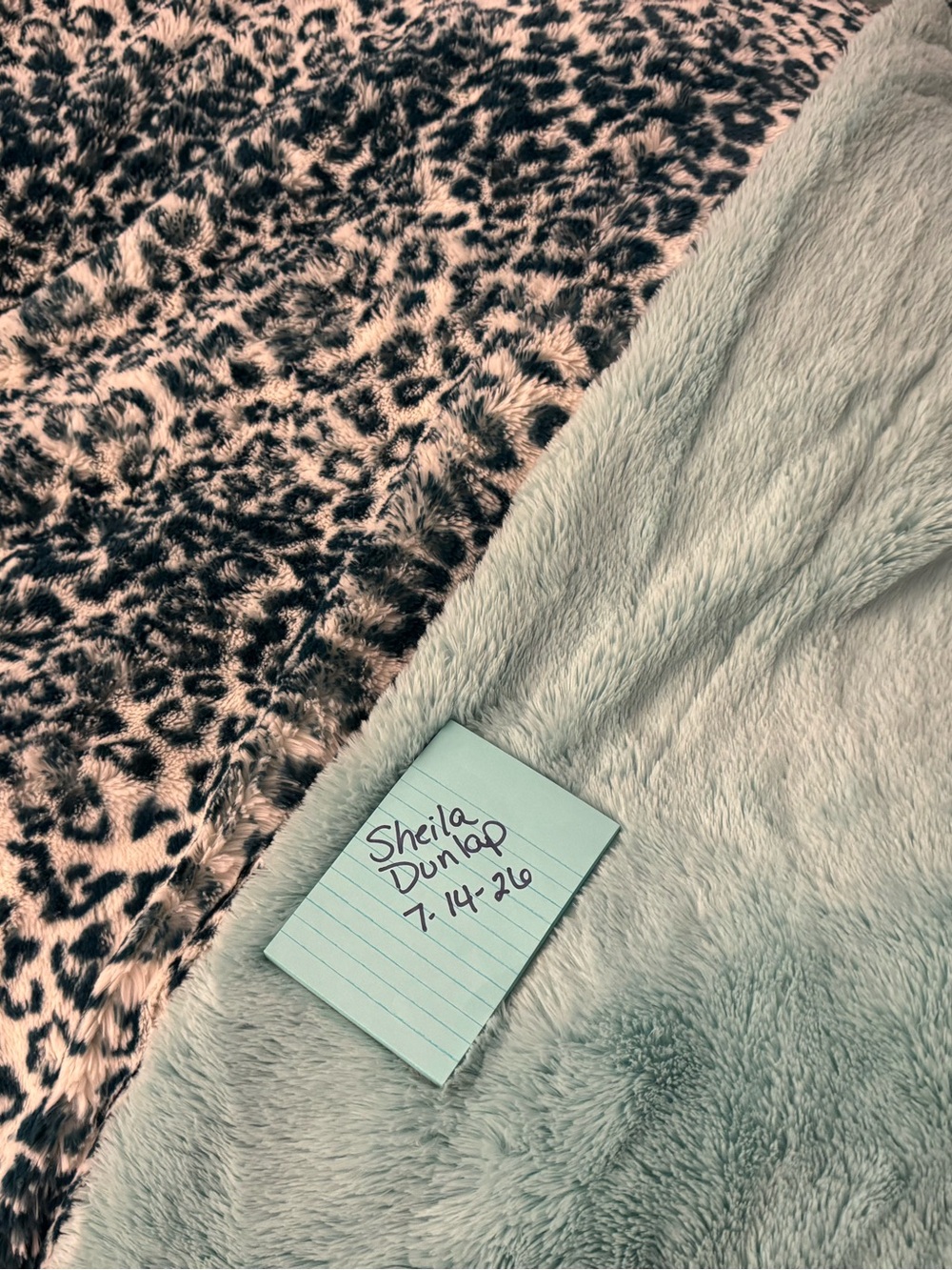 Minky blanket